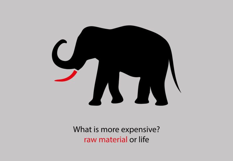 raw material – elephant