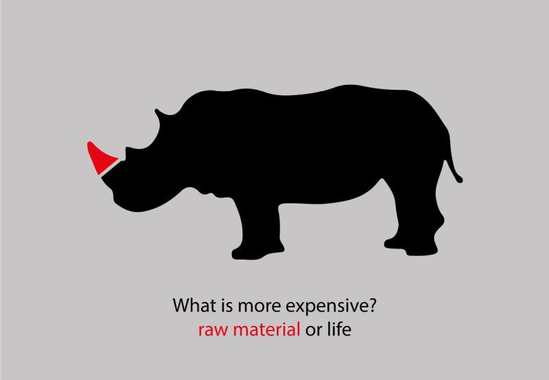 raw material – rhino