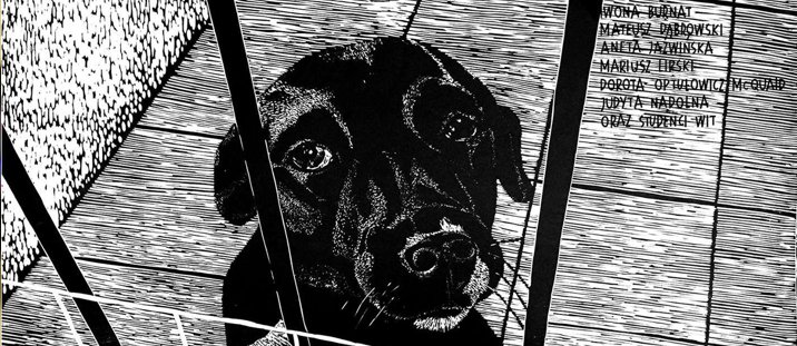 Finał akcji „Czekam na Ciebie”