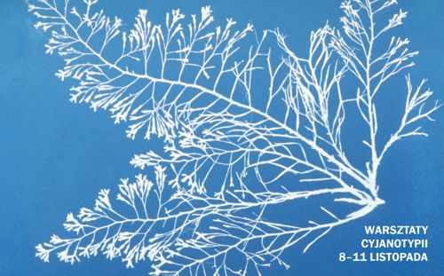 Warsztaty Cyjanotypii dla studentów WIT w Orońsku