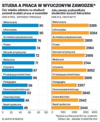 Studia a praca w wyuczonym zawodzie