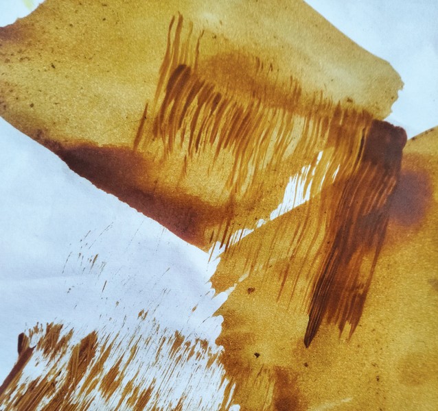 Joanna Mankiewicz: Dzikie pola