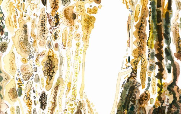 Joanna Mankiewicz: Organic traces